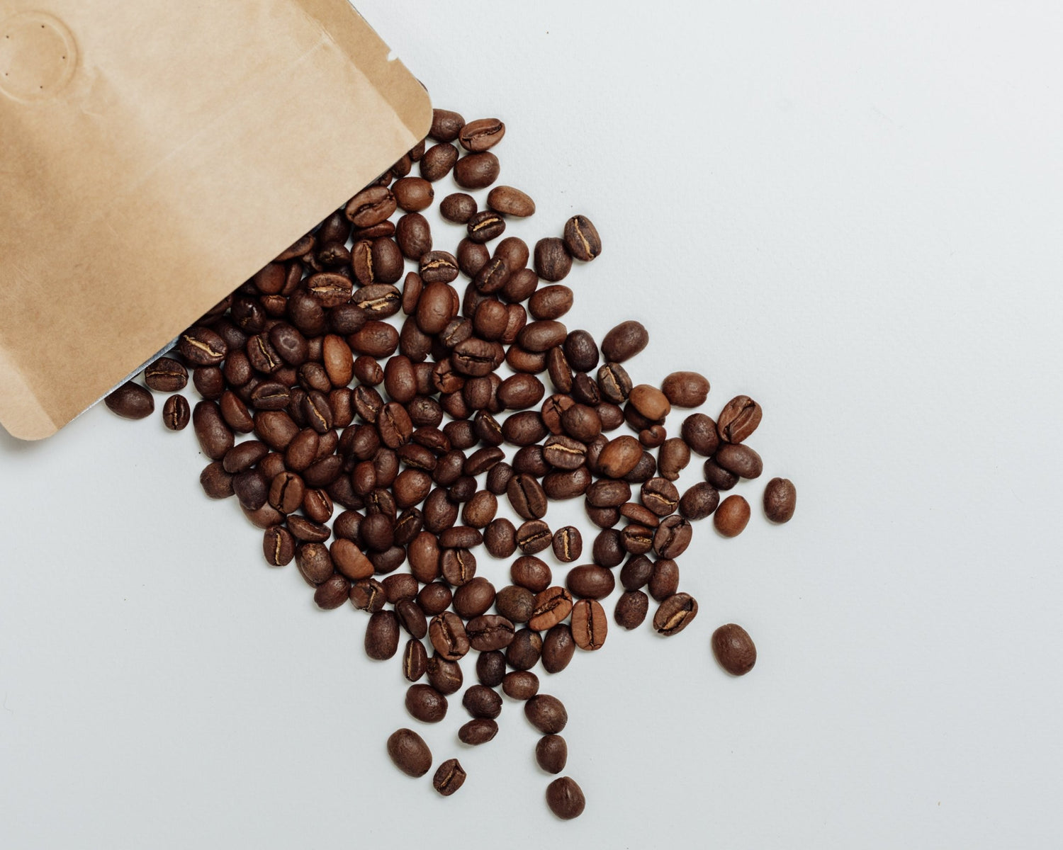 Coffee Selection - Notes coffee bar